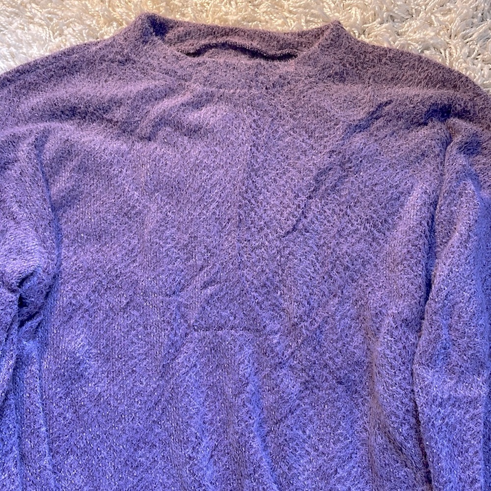 Fuzzy Hollister sweater
